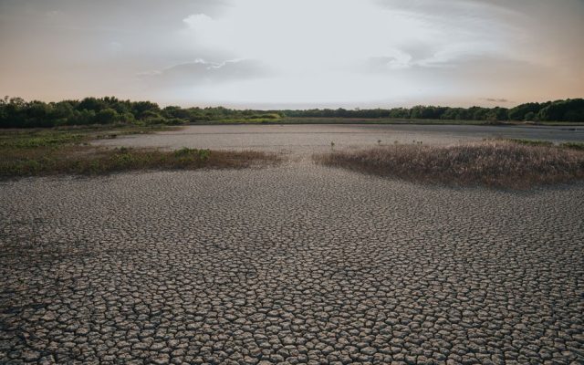 Sun beating down on a dry Portuguese inland landscape