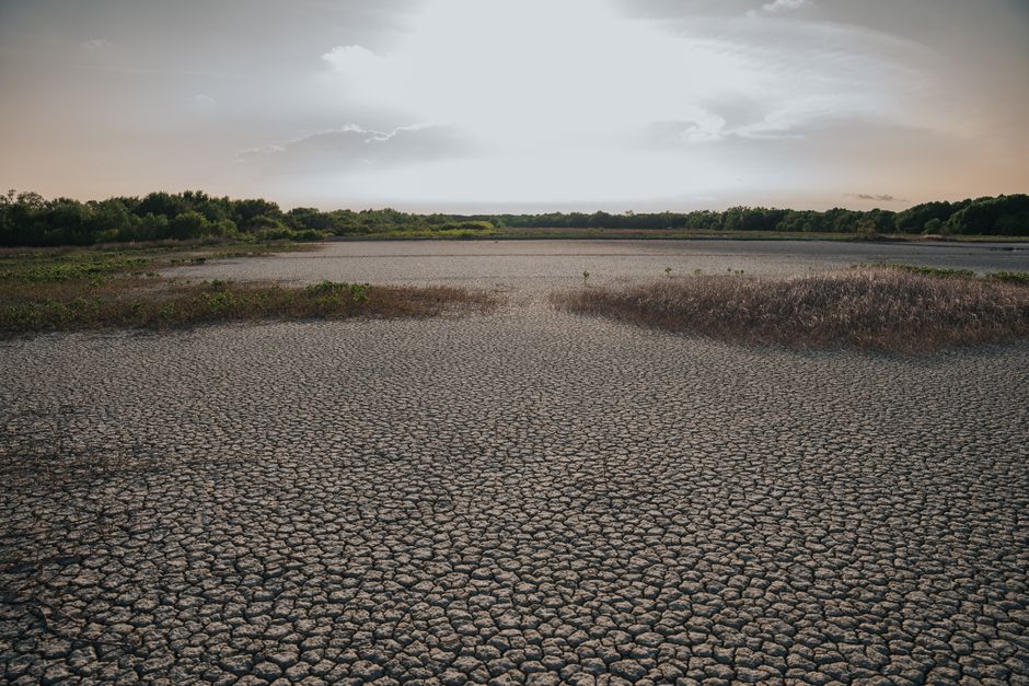 Sun beating down on a dry Portuguese inland landscape